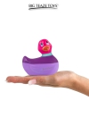 Mini canard vibrant Colors rose Mini canard vibrant Colors rose